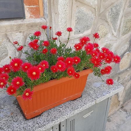 House Vittone Venaria Reale Διαμέρισμα Εξωτερικό φωτογραφία